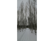 IMG 20210314 115701.jpg