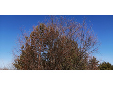 IMG 20210327 094509.jpg