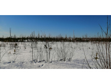 IMG 20210328 090845.jpg