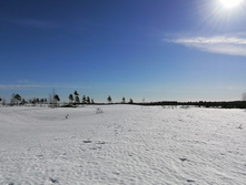 IMG 20210328 091402.jpg