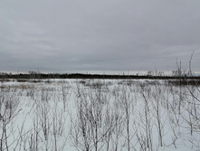 IMG 20210320 123809.jpg