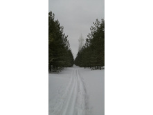 IMG 20210314 120823.jpg