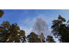 IMG 20210306 114446.jpg