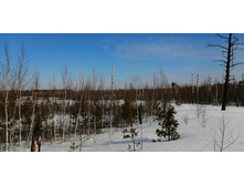 IMG 20210321 095506.jpg