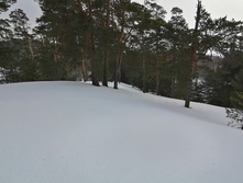 IMG 20210306 111237.jpg