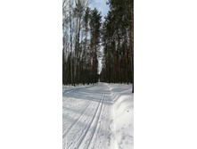 IMG 20210313 112315.jpg