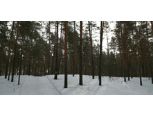 IMG 20210307 100125.jpg