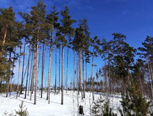 IMG 20210321 105140.jpg