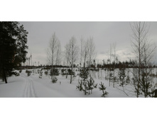 IMG 20210314 111715.jpg