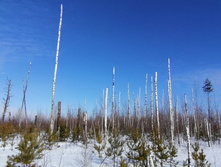 IMG 20210321 095245.jpg