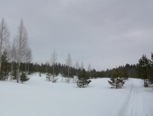 IMG 20210314 120432.jpg