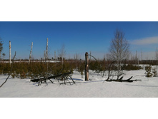 IMG 20210321 101634.jpg