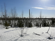 IMG 20210328 090336.jpg