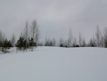 IMG 20210314 125649.jpg