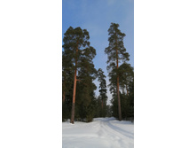 IMG 20210306 113549.jpg