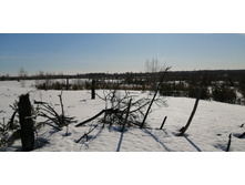 IMG 20210328 091702.jpg