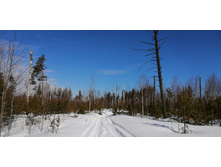 IMG 20210321 103229.jpg