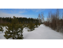 IMG 20210321 092206.jpg