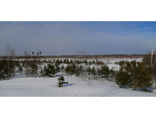 IMG 20210321 095659.jpg