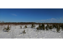 IMG 20210328 092548.jpg