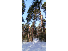 IMG 20210306 114229.jpg