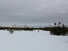 IMG 20210320 115451.jpg