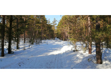 IMG 20210327 091532.jpg