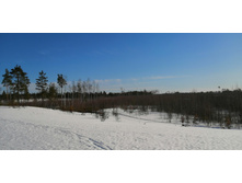 IMG 20210328 085229.jpg