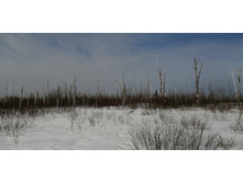 IMG 20210321 095131.jpg