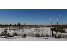 IMG 20210328 091338.jpg