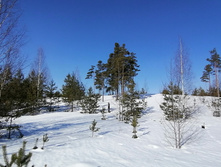 IMG 20210327 090215.jpg