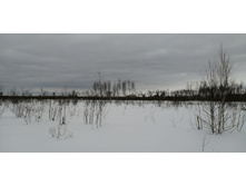 IMG 20210320 130042.jpg