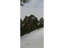 IMG 20210306 111722.jpg