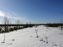 IMG 20210328 090325.jpg