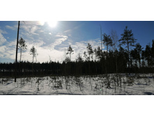 IMG 20210327 085331.jpg