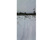 IMG 20210228 115246.jpg