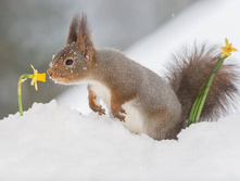 �����-�-�-� ...