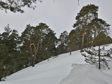 IMG 20210306 111457.jpg