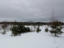 IMG 20210320 115909.jpg