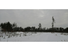 IMG 20210228 115304.jpg