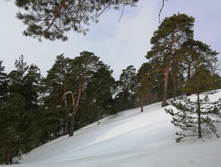 IMG 20210306 111750.jpg