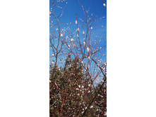 IMG 20210308 100410.jpg