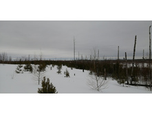 IMG 20210320 120429.jpg