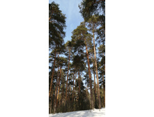 IMG 20210306 114104.jpg