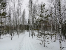 IMG 20210314 115608.jpg