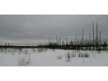 IMG 20210320 121813.jpg