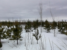 IMG 20210320 123004.jpg