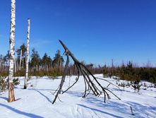 IMG 20210321 102939.jpg