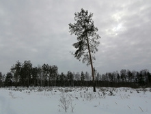 IMG 20210228 120915.jpg