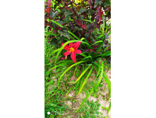 IMG 20200829 134616.jpg